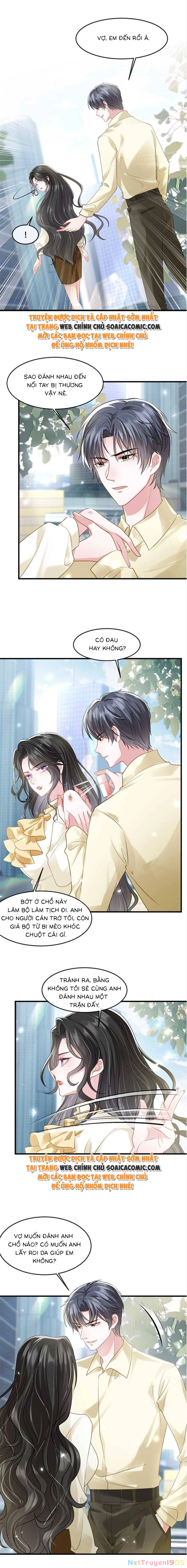 Vợ Tôi Là Boss Ngầm Đầy Quyền Lực Chapter 41 - 5