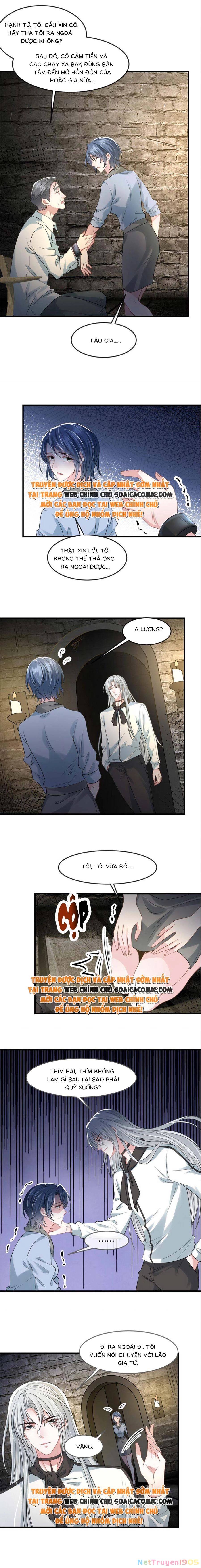 Vợ Tôi Là Boss Ngầm Đầy Quyền Lực Chapter 42 - 5