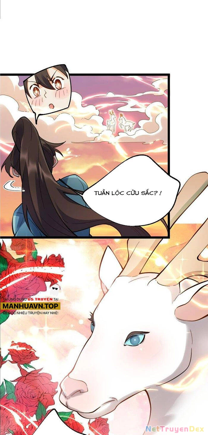 Nguyên Lai Ta Là Tu Tiên Đại Lão Chapter 335 - 4
