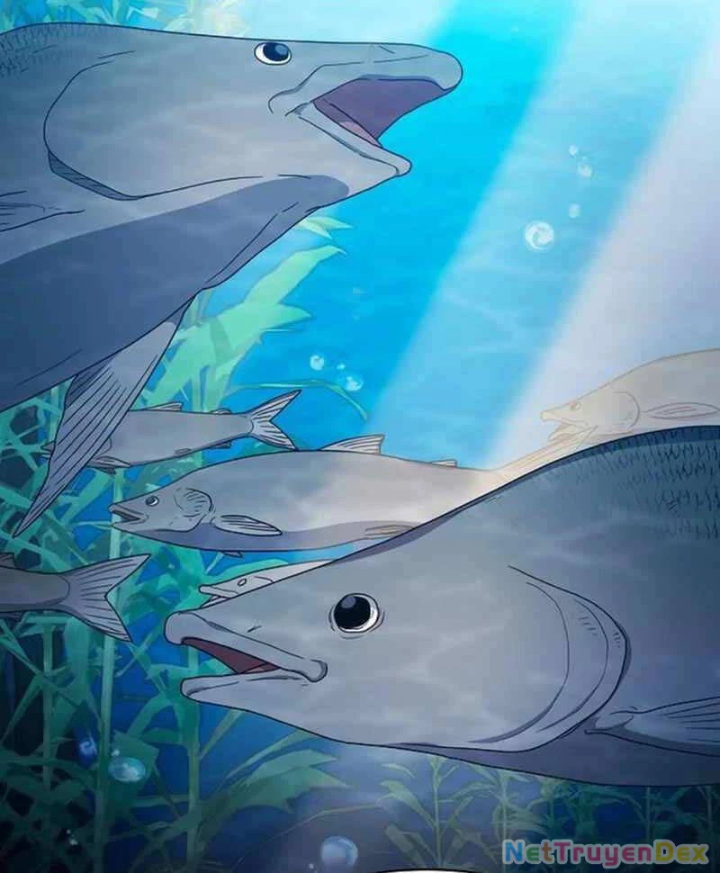 Nền Văn Minh Nebula Chapter 24 - 36