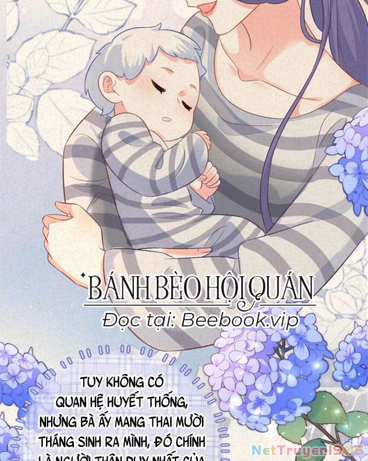 Bé Rồng Đột Kích! Mami Vừa Cay Vừa Độc Chapter 71 - 52