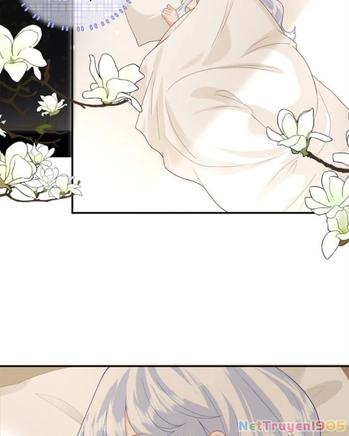 Bé Rồng Đột Kích! Mami Vừa Cay Vừa Độc Chapter 72 - 8