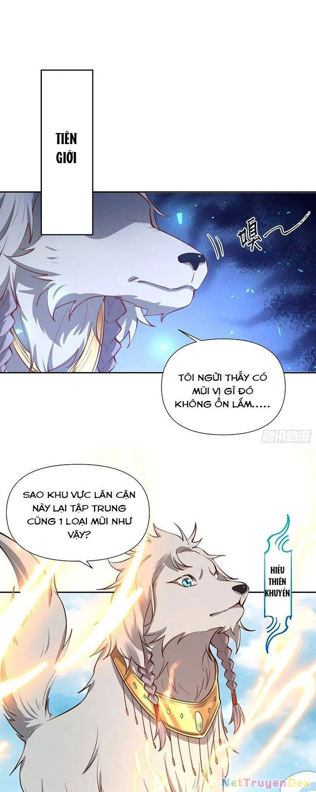 Nguyên Lai Ta Là Tu Tiên Đại Lão Chapter 346 - 19