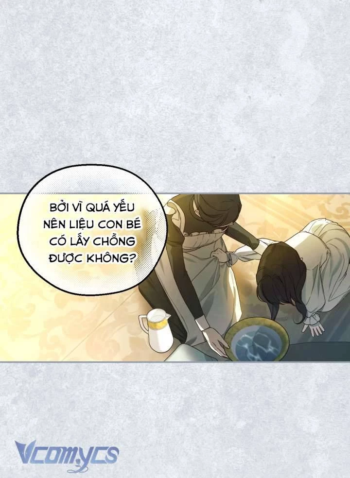 Phương Pháp Che Giấu Đứa Con Của Hoàng Đế Chapter 82 - 28