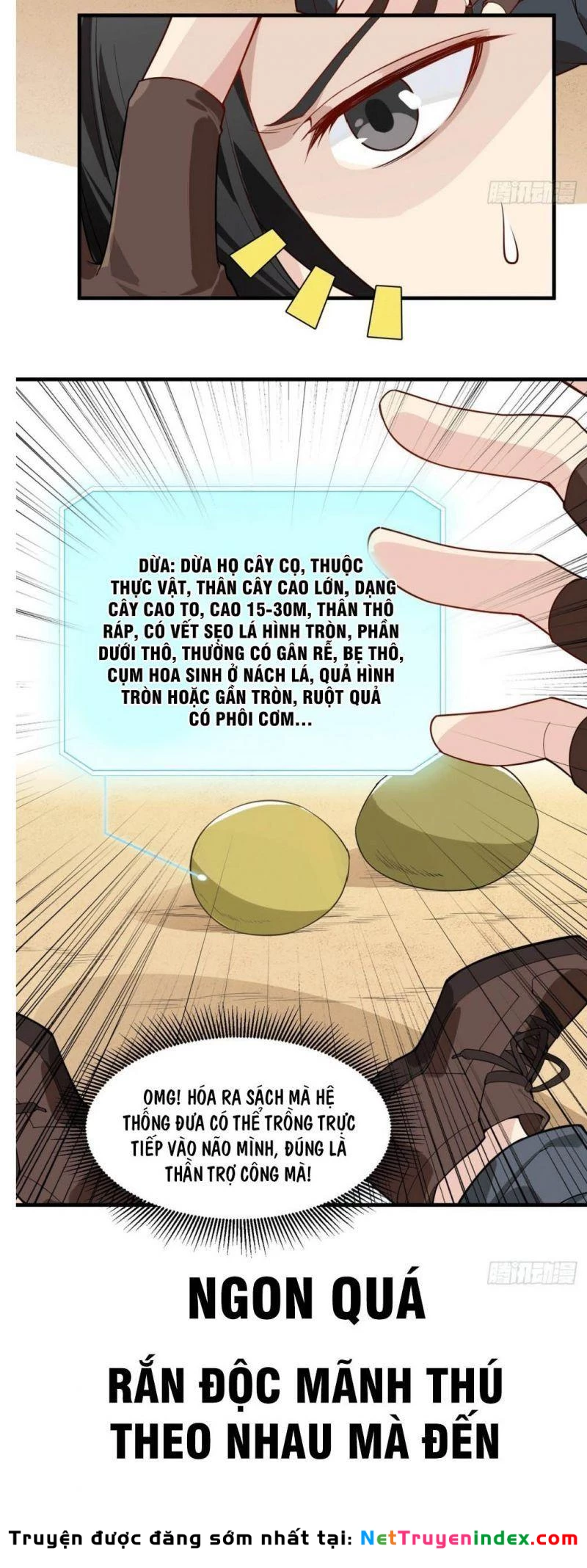 Sống Trên Hoang đảo Cùng Các Em Gái Chapter 0 - 3