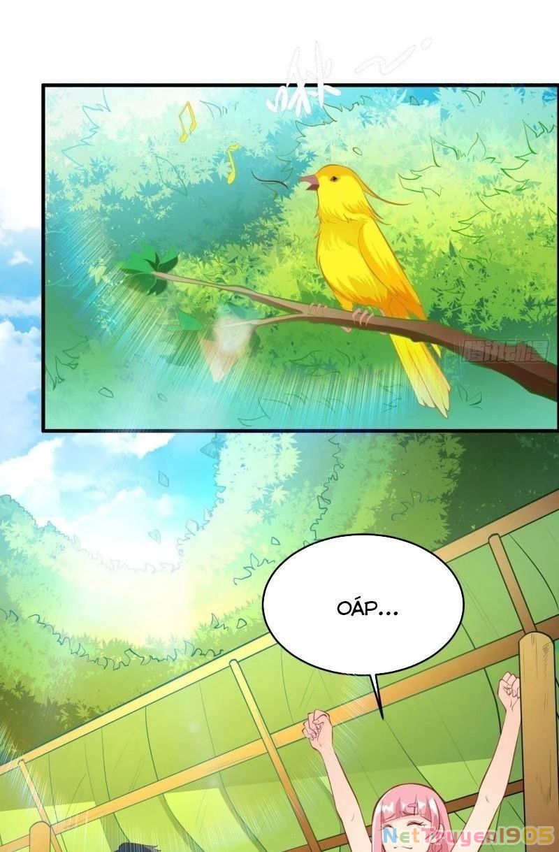 Sống Trên Hoang đảo Cùng Các Em Gái Chapter 7 - 19