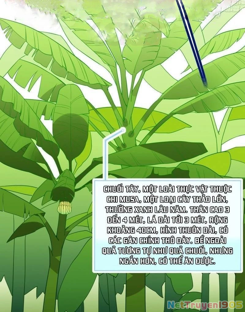 Sống Trên Hoang đảo Cùng Các Em Gái Chapter 8 - 2