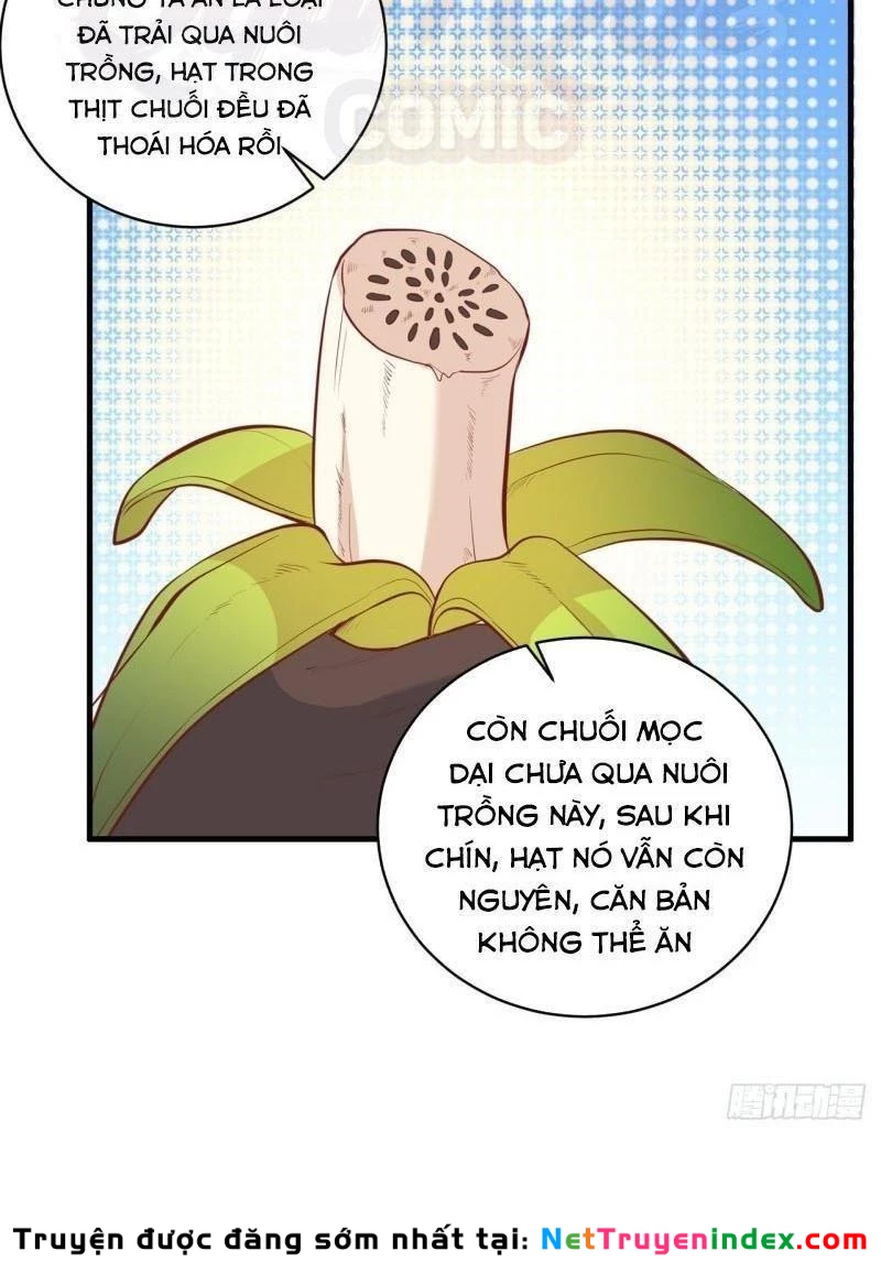 Sống Trên Hoang đảo Cùng Các Em Gái Chapter 8 - 14