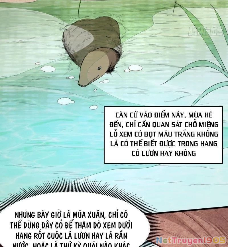 Sống Trên Hoang đảo Cùng Các Em Gái Chapter 13 - 13