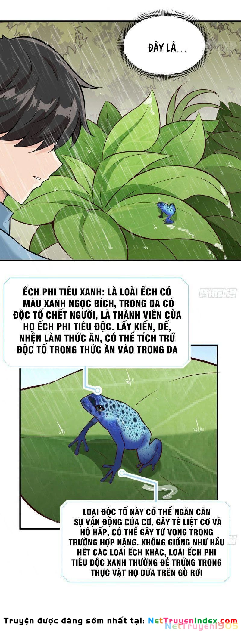 Sống Trên Hoang đảo Cùng Các Em Gái Chapter 31 - 18