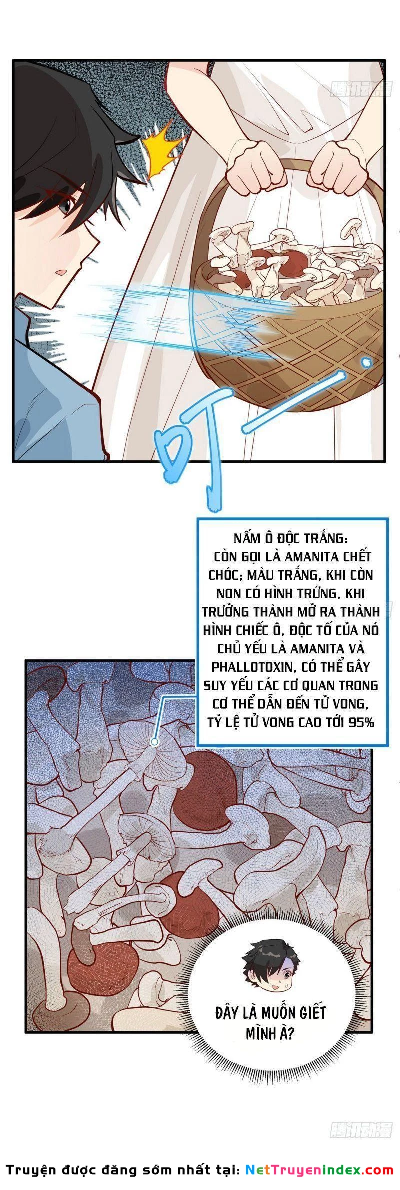 Sống Trên Hoang đảo Cùng Các Em Gái Chapter 39 - 8