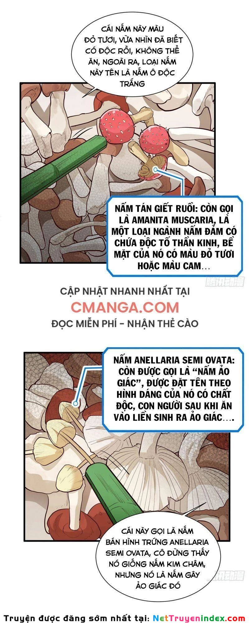 Sống Trên Hoang đảo Cùng Các Em Gái Chapter 39 - 9