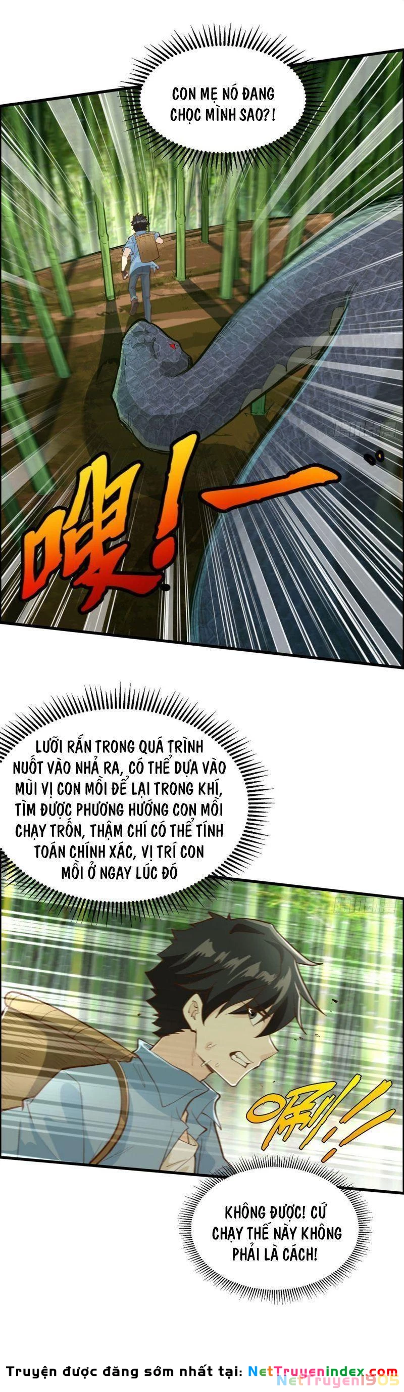 Sống Trên Hoang đảo Cùng Các Em Gái Chapter 42 - 5