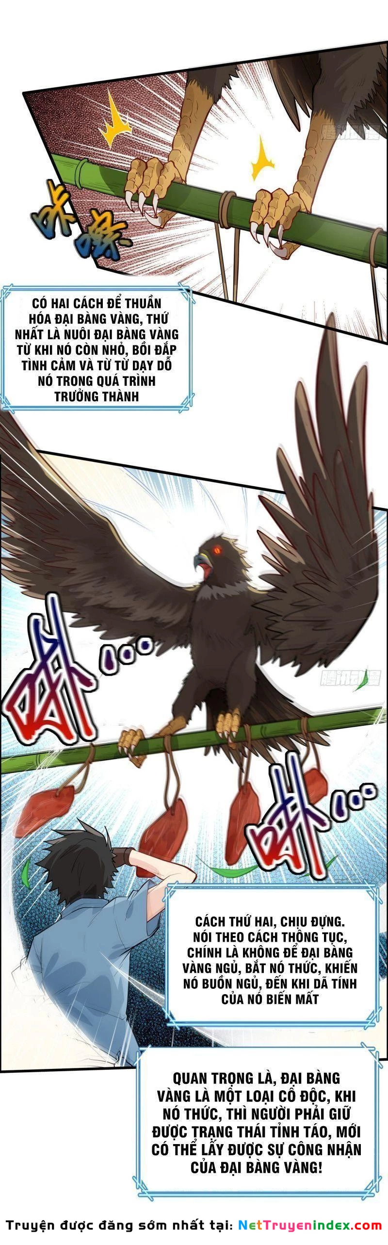 Sống Trên Hoang đảo Cùng Các Em Gái Chapter 46 - 17