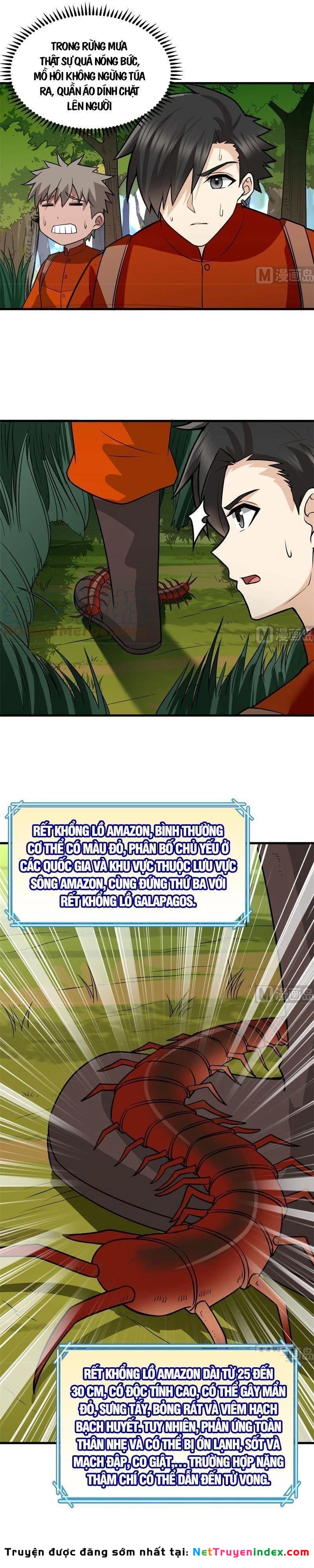 Sống Trên Hoang đảo Cùng Các Em Gái Chapter 153 - 12