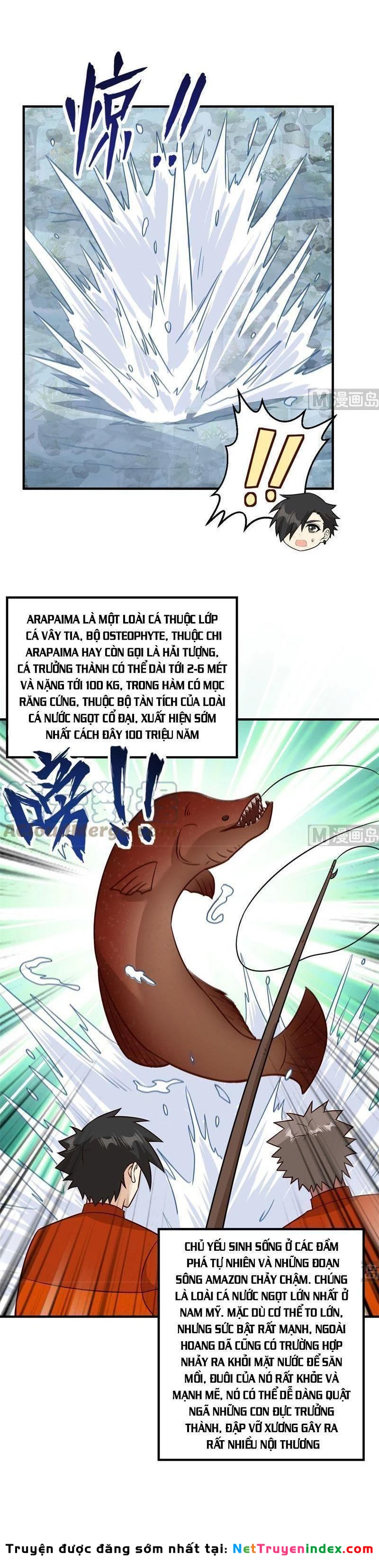 Sống Trên Hoang đảo Cùng Các Em Gái Chapter 162 - 11
