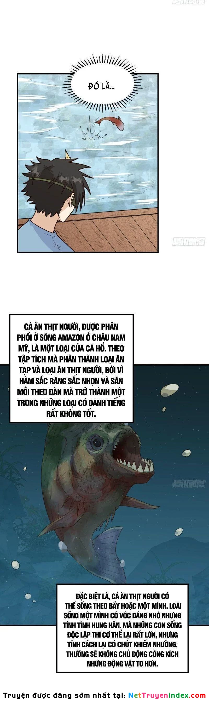 Sống Trên Hoang đảo Cùng Các Em Gái Chapter 178 - 12