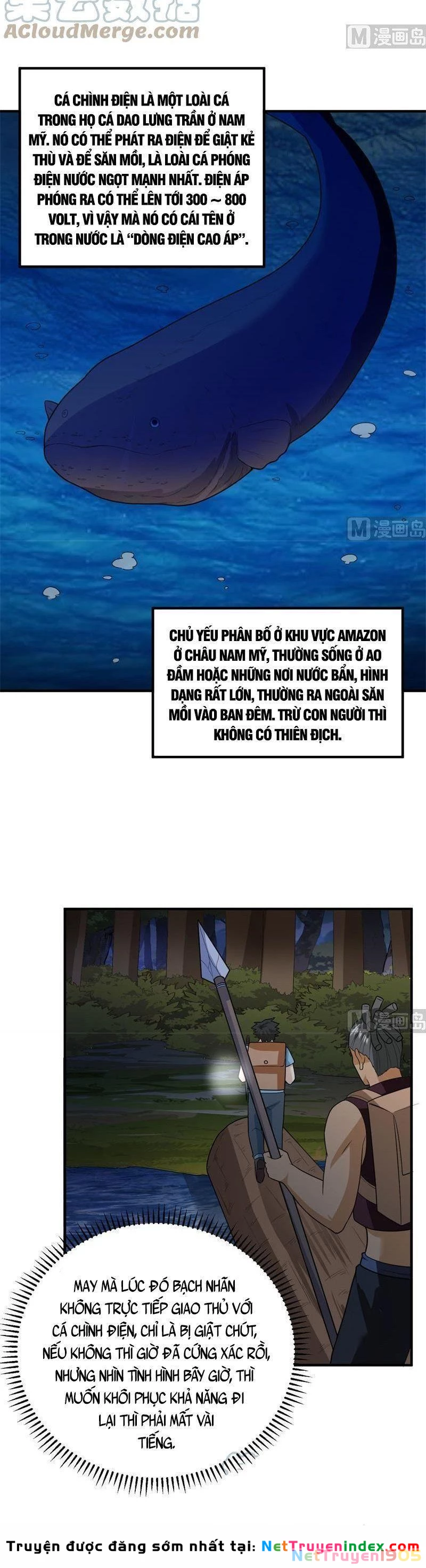 Sống Trên Hoang đảo Cùng Các Em Gái Chapter 185 - 8
