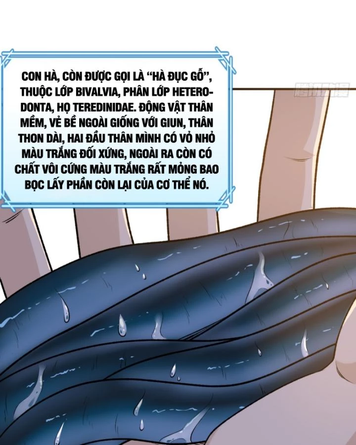 Sống Trên Hoang đảo Cùng Các Em Gái Chapter 261 - 6