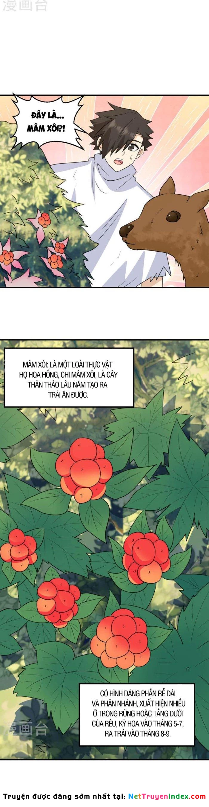 Sống Trên Hoang đảo Cùng Các Em Gái Chapter 232 - 5