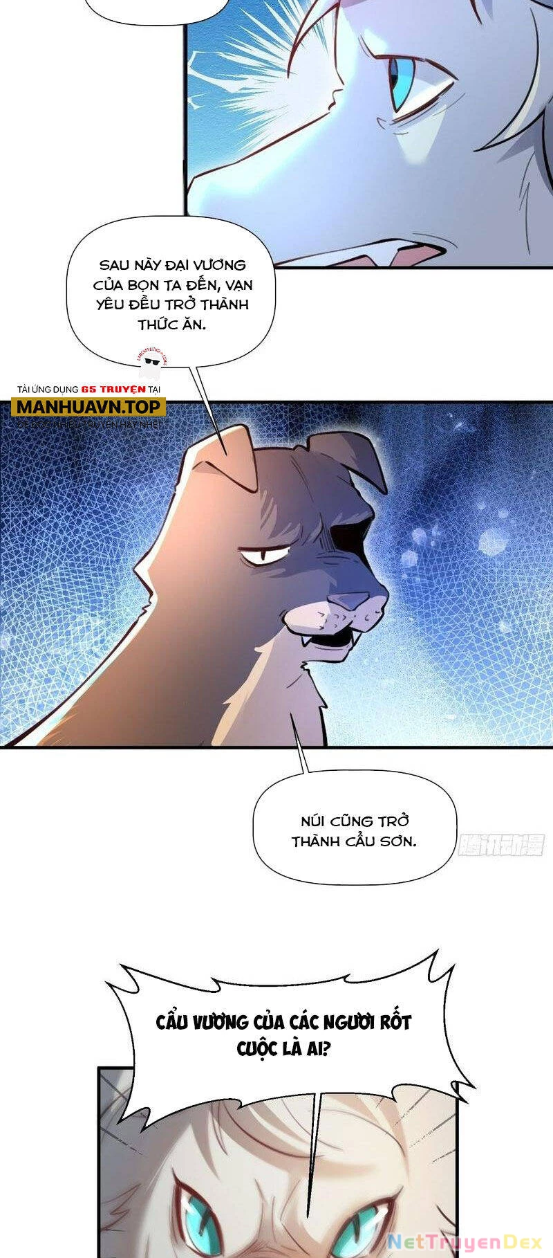 Nguyên Lai Ta Là Tu Tiên Đại Lão Chapter 350 - 19