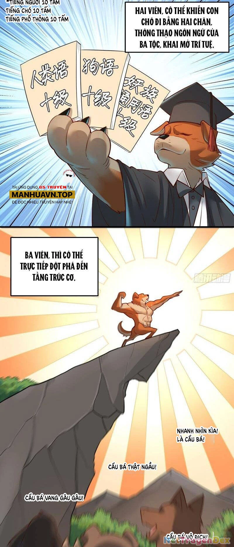 Nguyên Lai Ta Là Tu Tiên Đại Lão Chapter 350 - 22