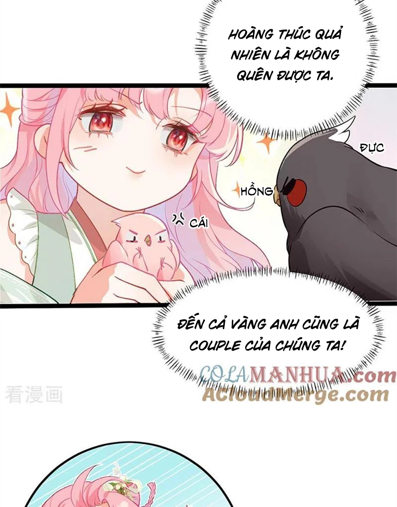 Sau Khi Công Chúa Bội Tình Bạc Nghĩa Chapter 27 - 15