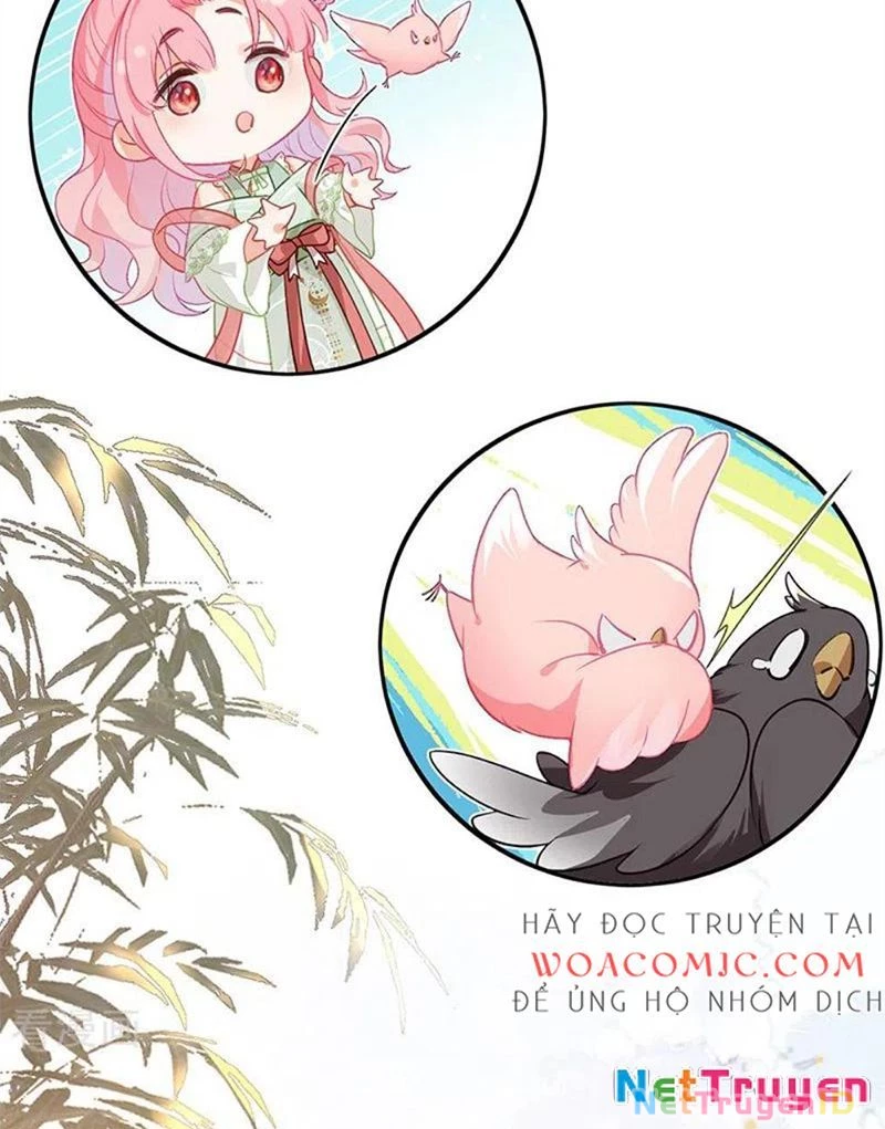 Sau Khi Công Chúa Bội Tình Bạc Nghĩa Chapter 27 - 16