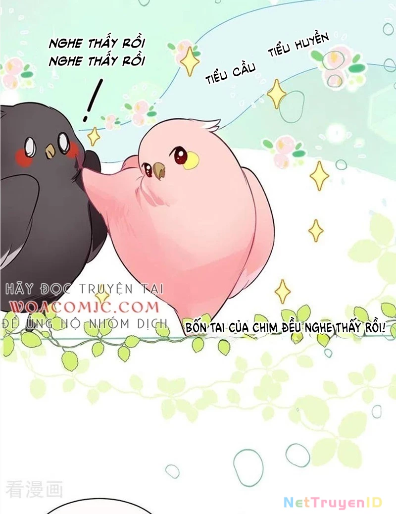 Sau Khi Công Chúa Bội Tình Bạc Nghĩa Chapter 27 - 33