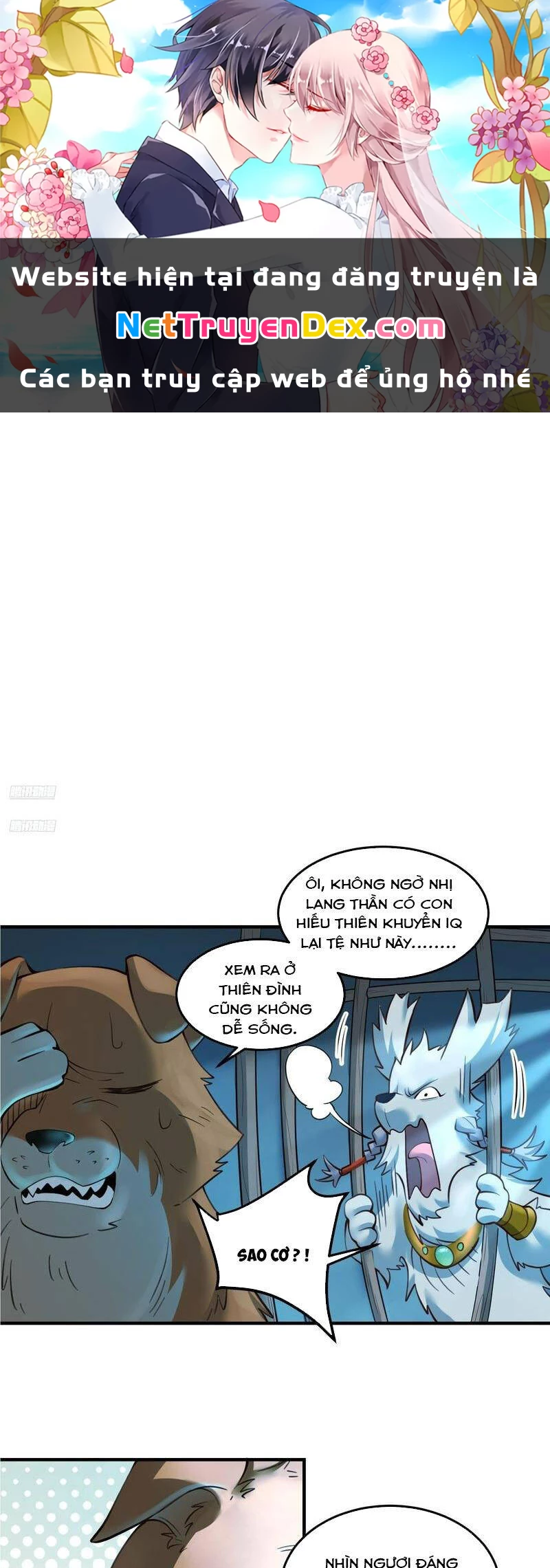 Nguyên Lai Ta Là Tu Tiên Đại Lão Chapter 351 - 1