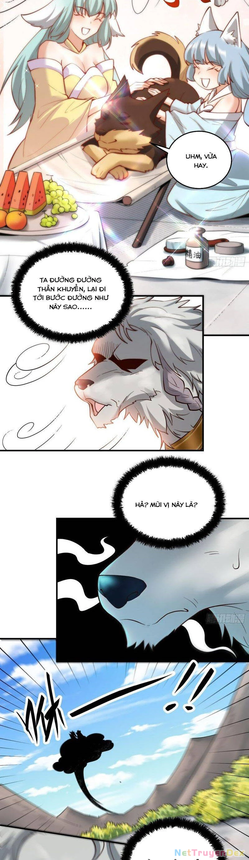 Nguyên Lai Ta Là Tu Tiên Đại Lão Chapter 351 - 18