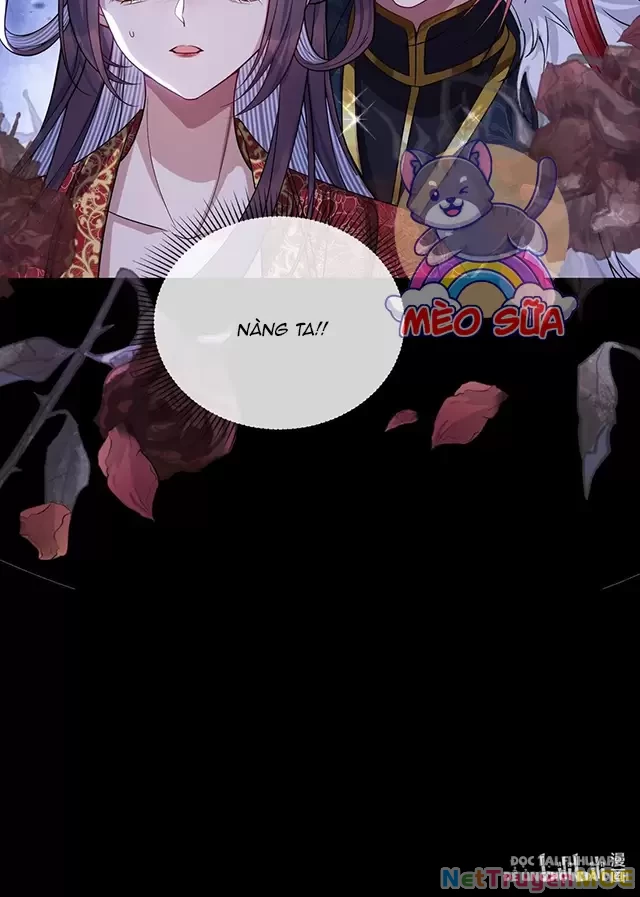 Nuông Chiều Mỹ Nhân Cuồng Nhiệt Chapter 3 - 40