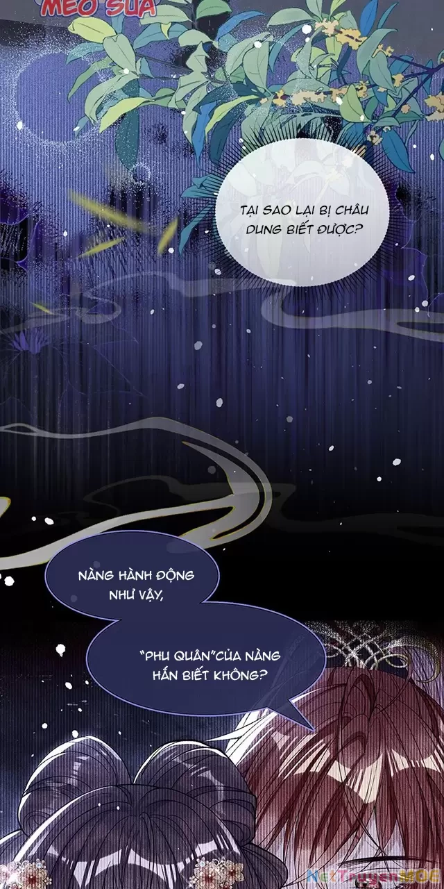 Nuông Chiều Mỹ Nhân Cuồng Nhiệt Chapter 4 - 3