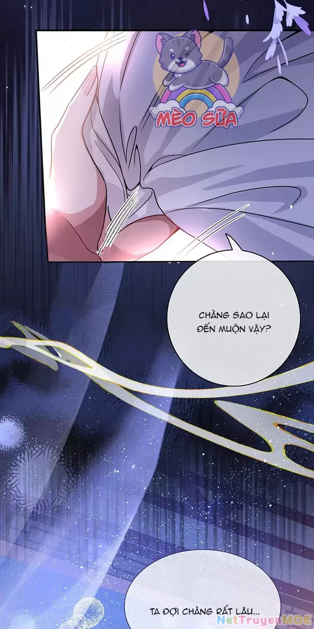 Nuông Chiều Mỹ Nhân Cuồng Nhiệt Chapter 4 - 37