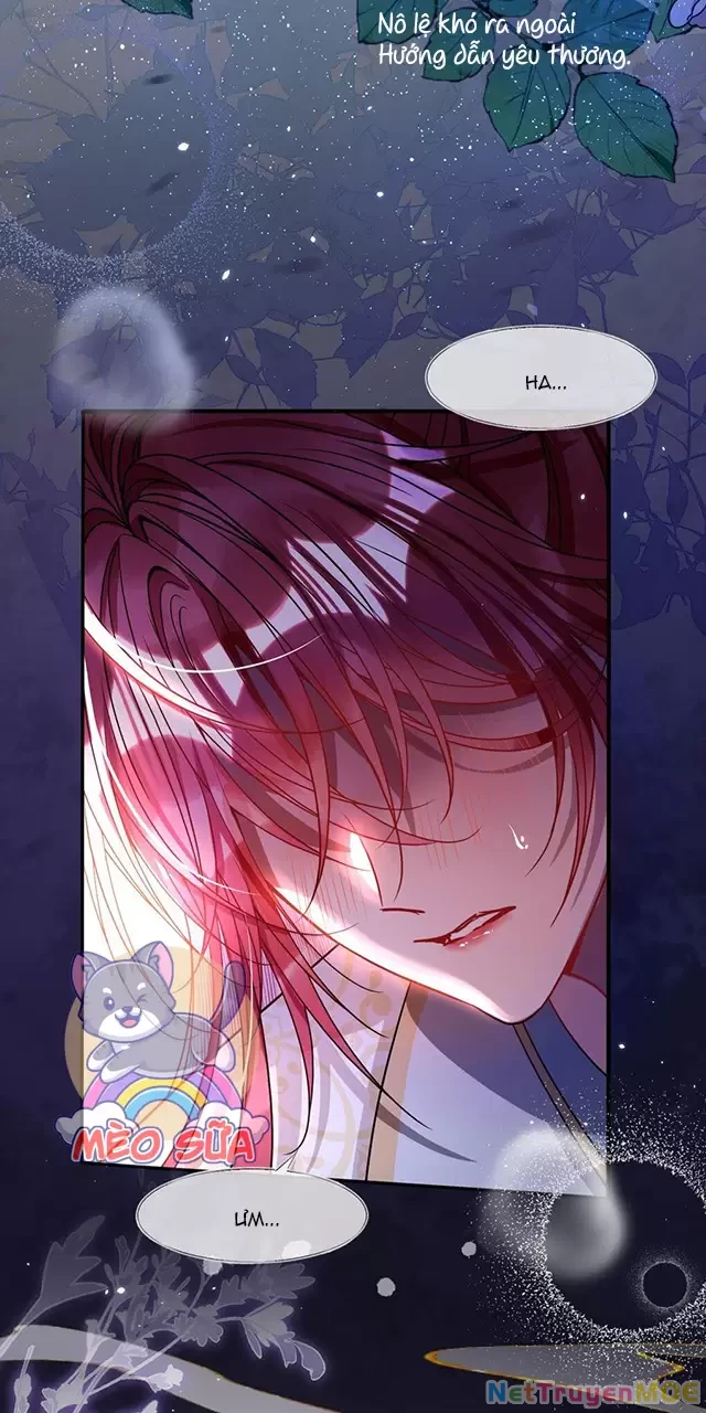 Nuông Chiều Mỹ Nhân Cuồng Nhiệt Chapter 4 - 39