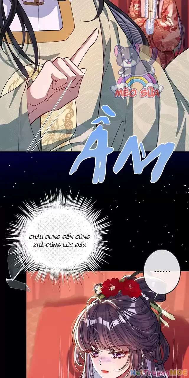 Nuông Chiều Mỹ Nhân Cuồng Nhiệt Chapter 11 - 6
