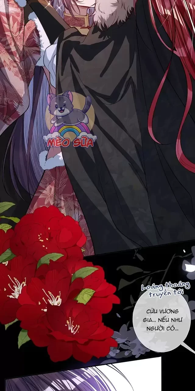 Nuông Chiều Mỹ Nhân Cuồng Nhiệt Chapter 11 - 25