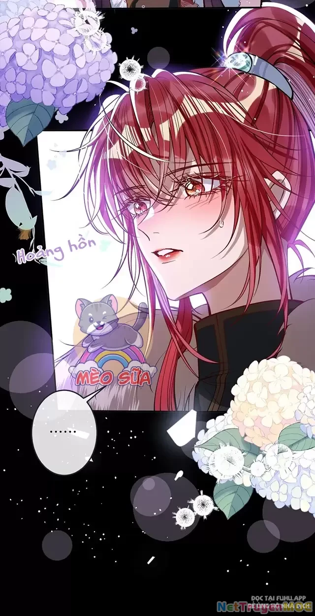 Nuông Chiều Mỹ Nhân Cuồng Nhiệt Chapter 11 - 30