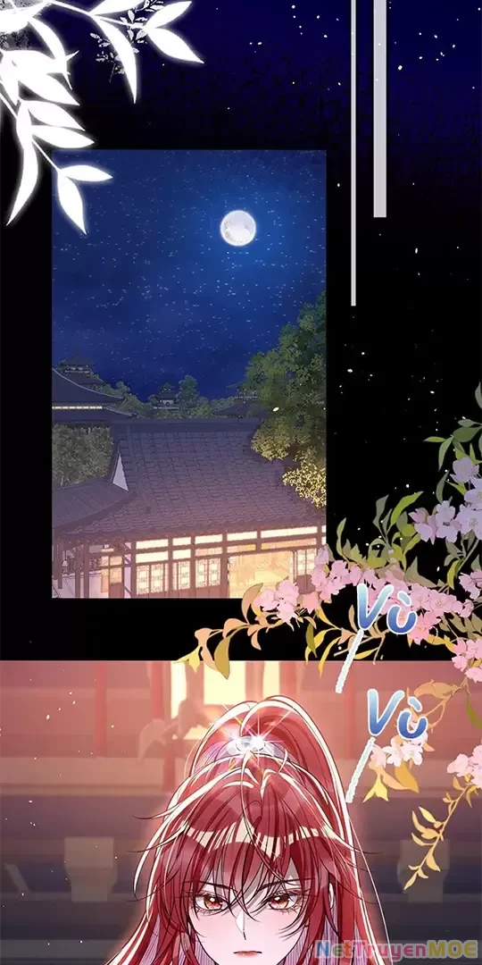 Nuông Chiều Mỹ Nhân Cuồng Nhiệt Chapter 11 - 37