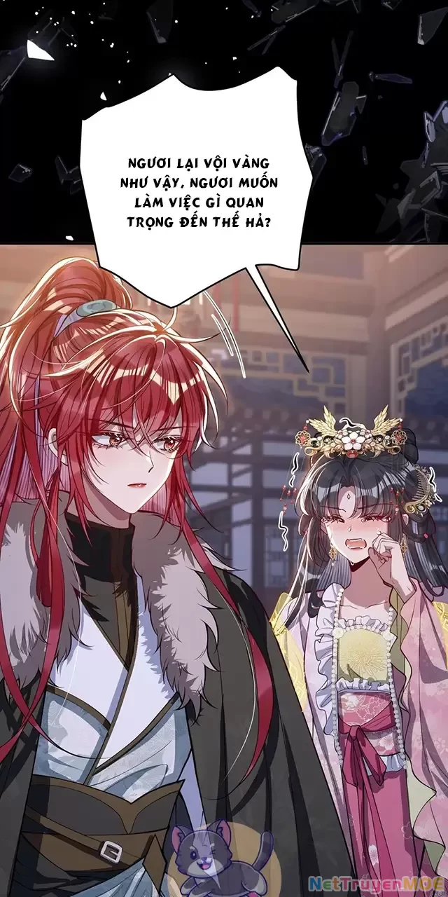 Nuông Chiều Mỹ Nhân Cuồng Nhiệt Chapter 11 - 46