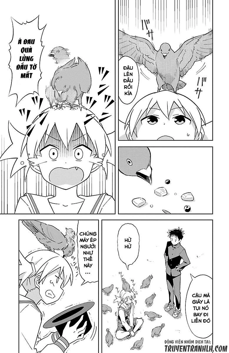 Atsumare! Fushigi Kenkyuu-bu Chapter 6 - 6