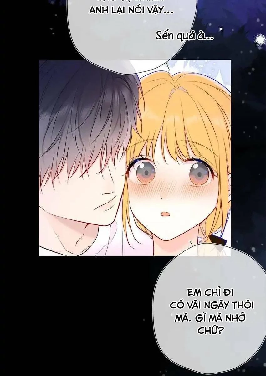 [Fix lỗi từ 110] Ngôi Sao Cho Tôi Chapter 144 - 19