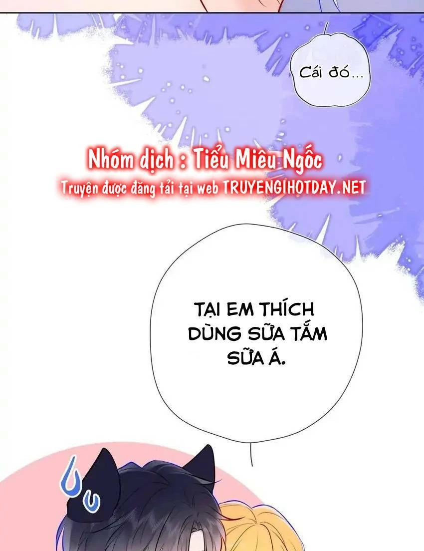 [Fix lỗi từ 110] Ngôi Sao Cho Tôi Chapter 144 - 23