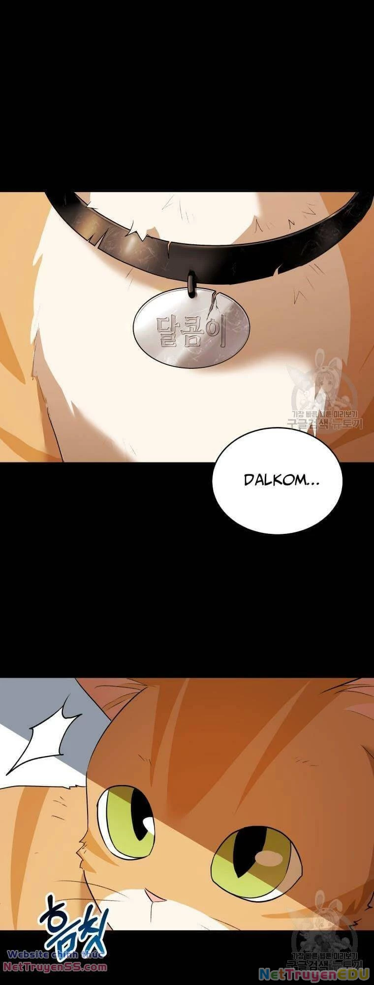 Xin Chào! Bác Sĩ Thú Y Chapter 8 - 11