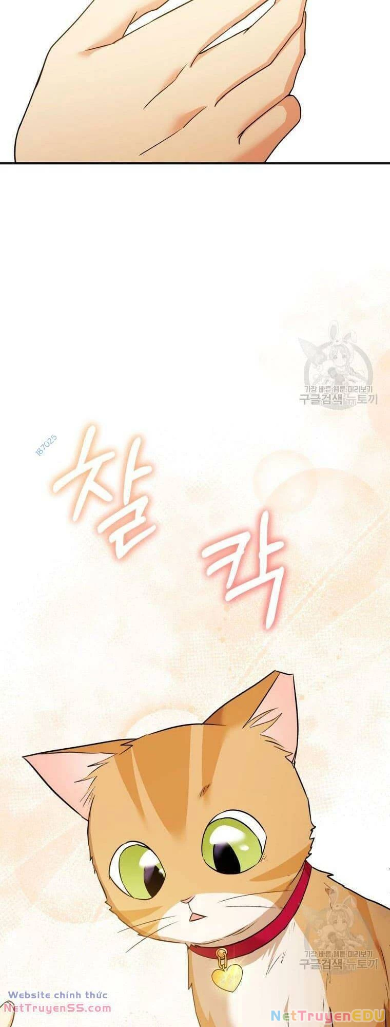 Xin Chào! Bác Sĩ Thú Y Chapter 8 - 35