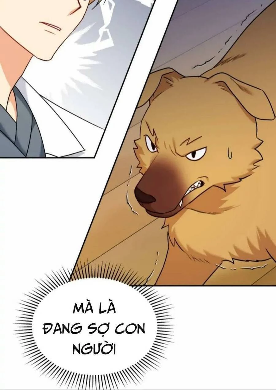 Xin Chào! Bác Sĩ Thú Y Chapter 16 - 67