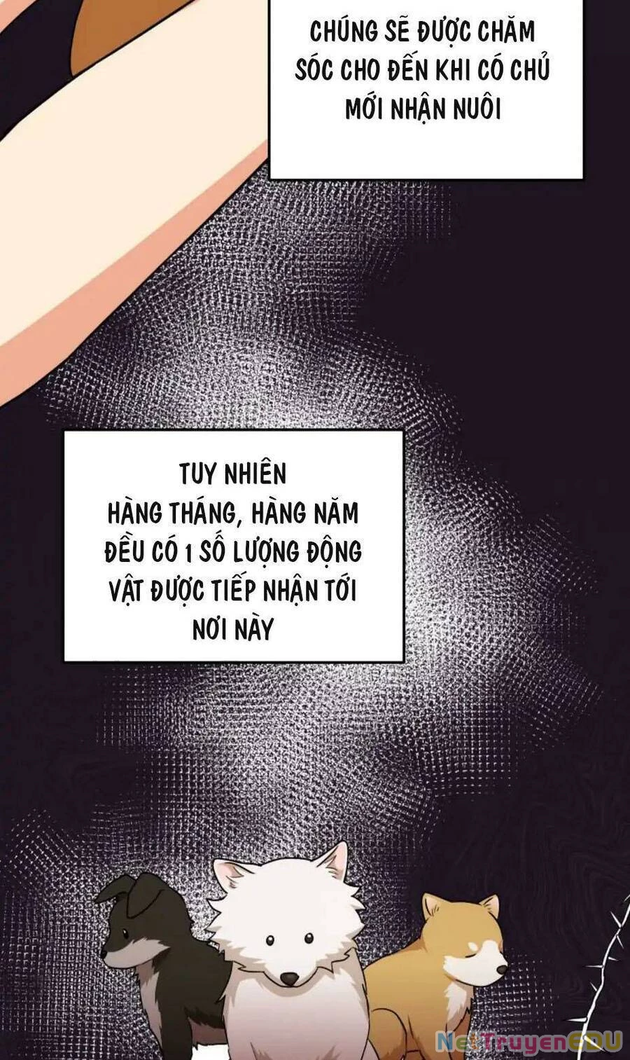 Xin Chào! Bác Sĩ Thú Y Chapter 17 - 35