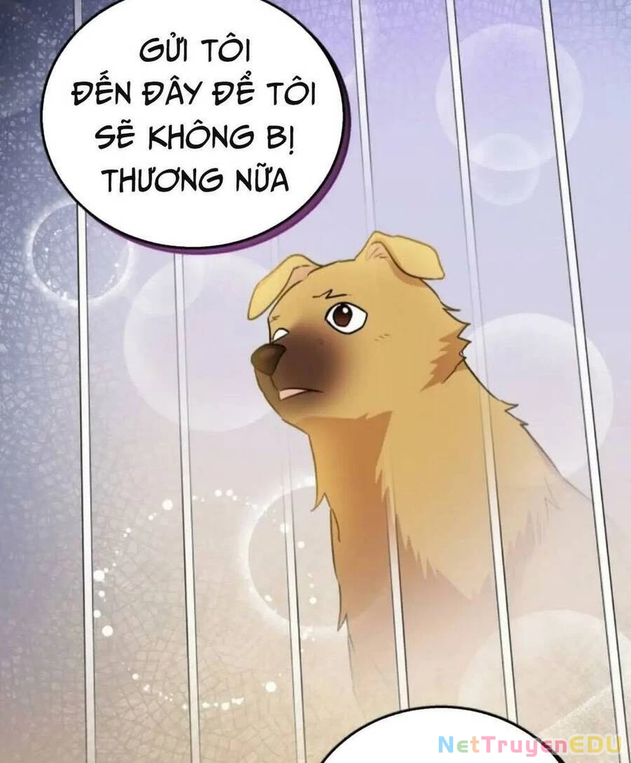 Xin Chào! Bác Sĩ Thú Y Chapter 19 - 12