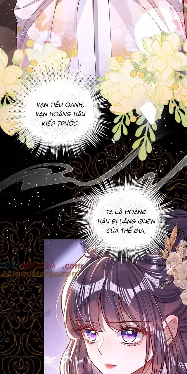 Nuông Chiều Mỹ Nhân Cuồng Nhiệt Chapter 14 - 5