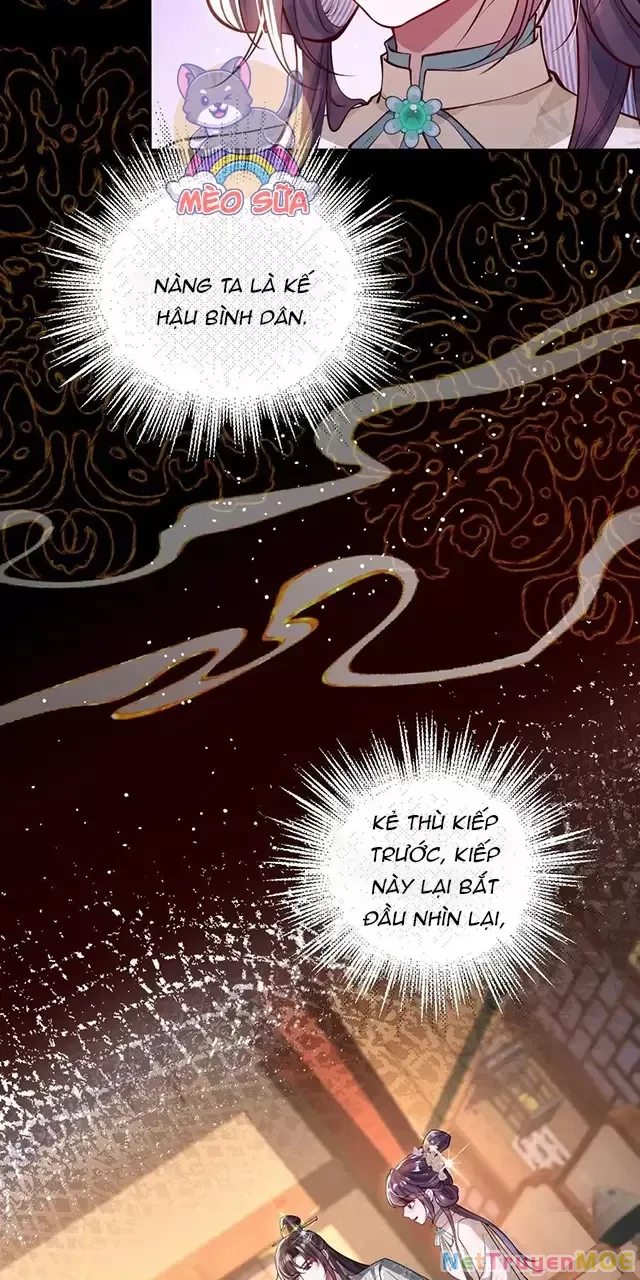 Nuông Chiều Mỹ Nhân Cuồng Nhiệt Chapter 14 - 6